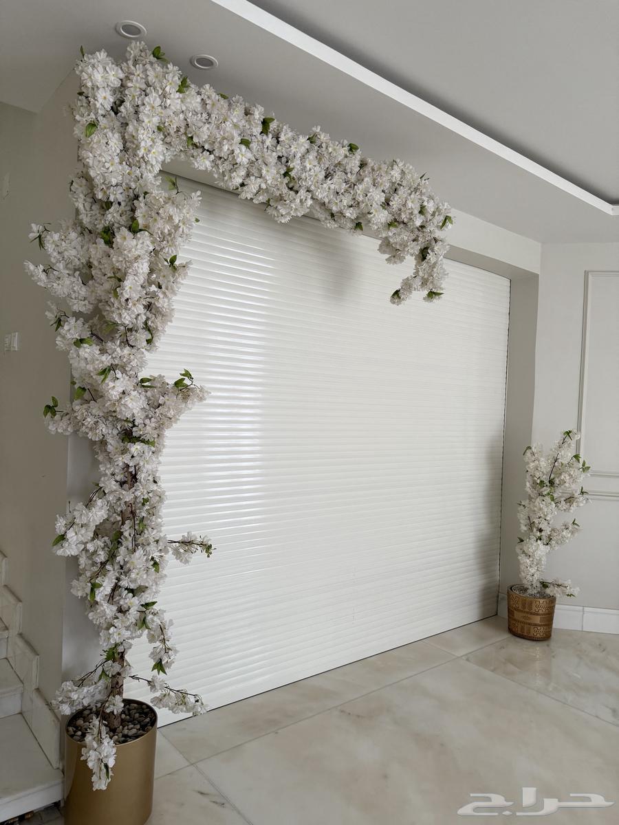 Large tree64512719763843110