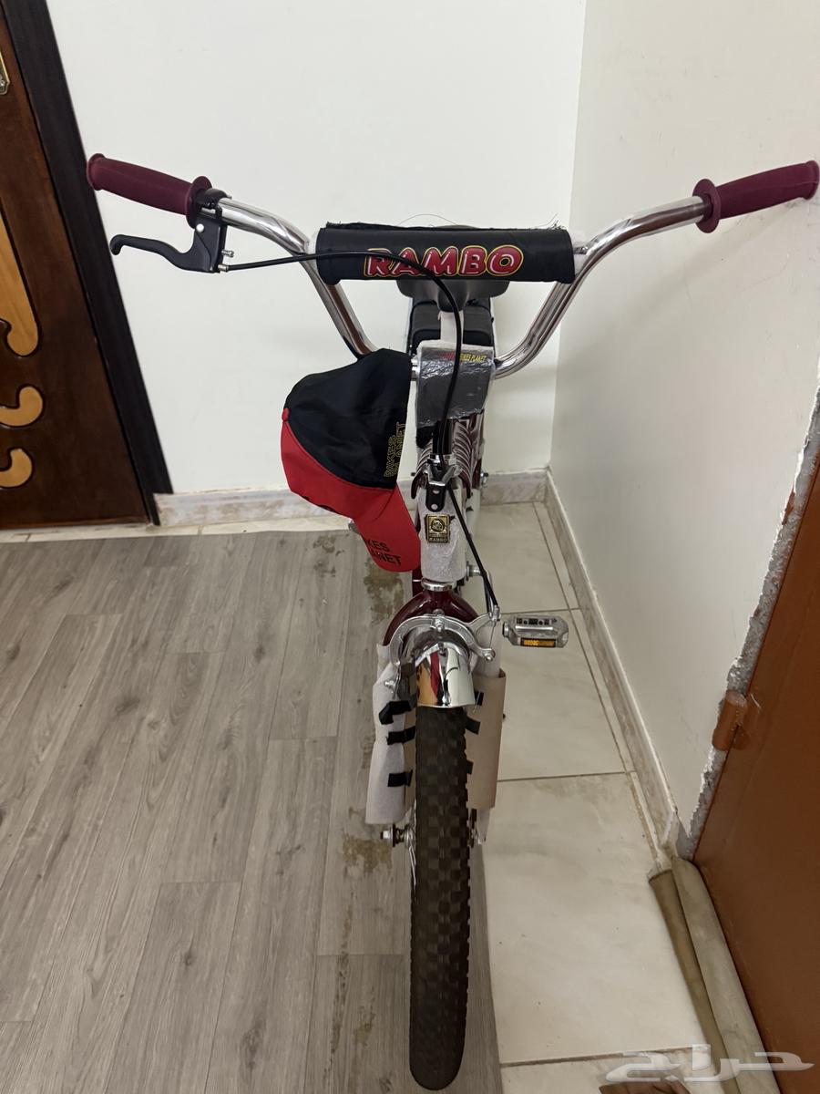 رامبو مقاس 20 عنابي ختم ذهبي السعر 48064516239989891112