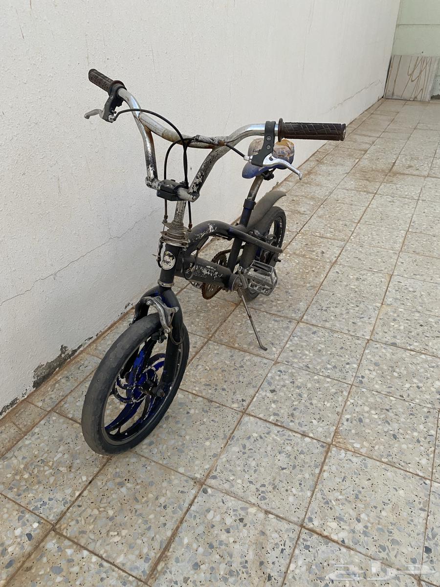 للبيع سيكل كوبرا مقاس 1664516757914241114