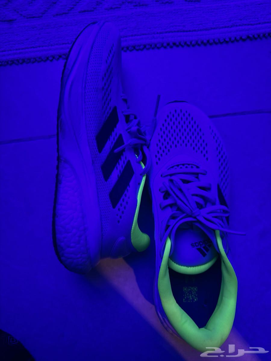 شوز اديداس اصلي64512636987649110