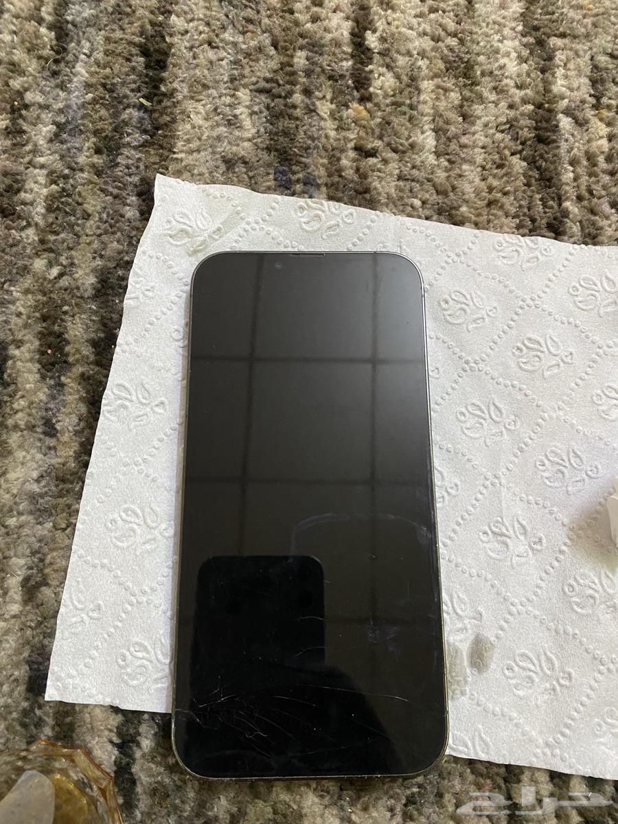 ايفون 13 برو ماكس البيع64517504988290113