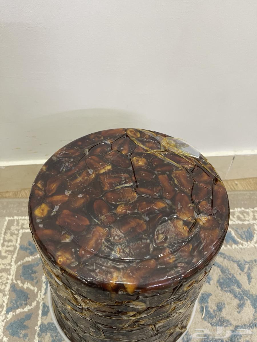 Tamir Berini64518245879682112