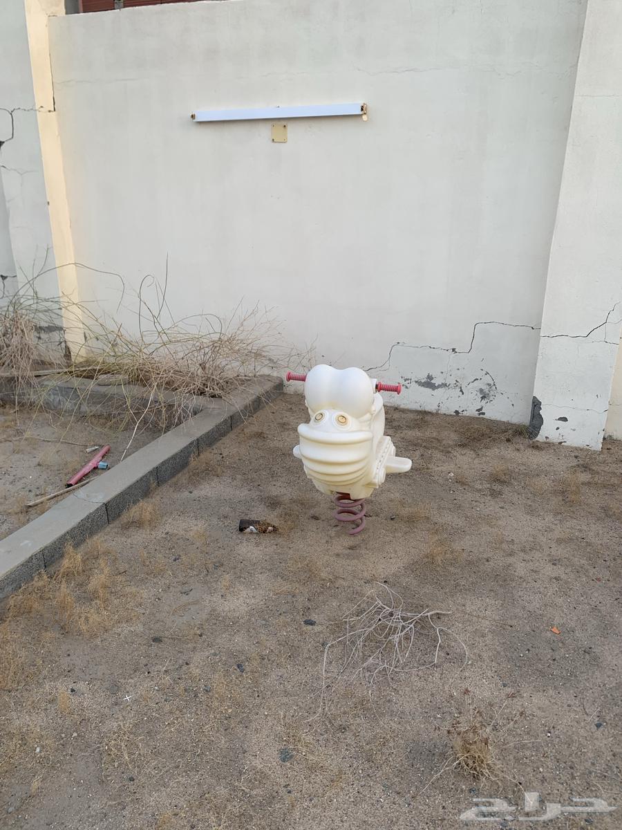 Games for game park rest area64515500854785110