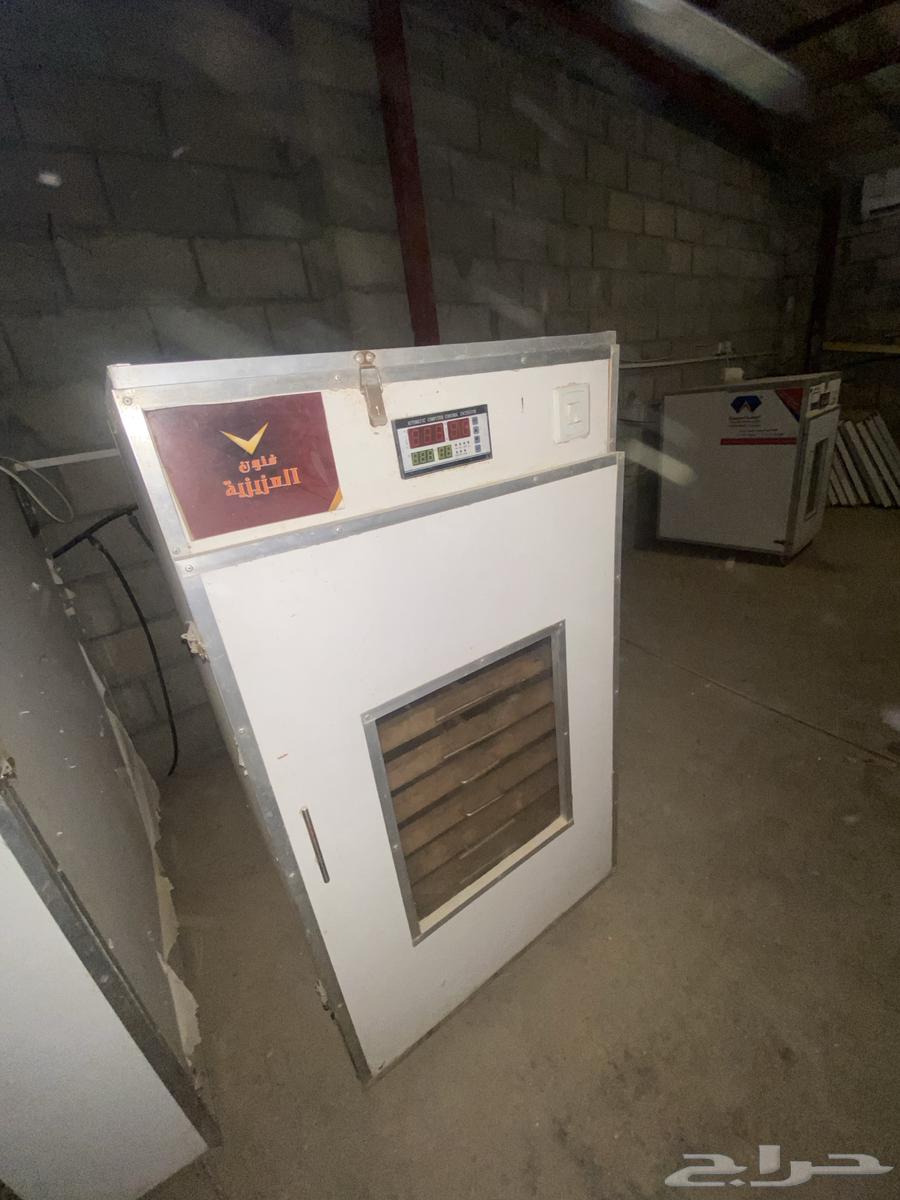 للبيع فقاسات بيض مستعمله64512637026051113