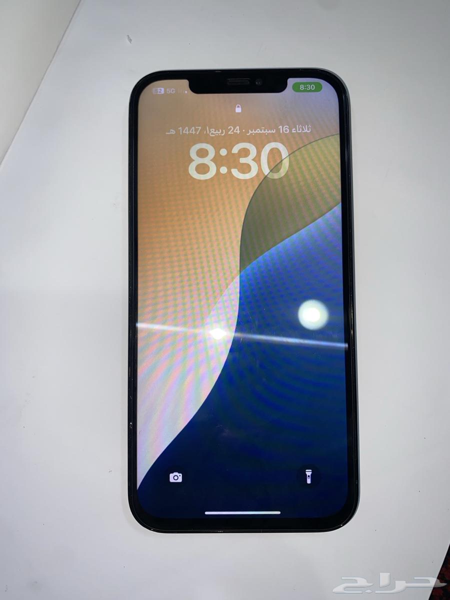 iPhone 12 Pro Max64517347977730113