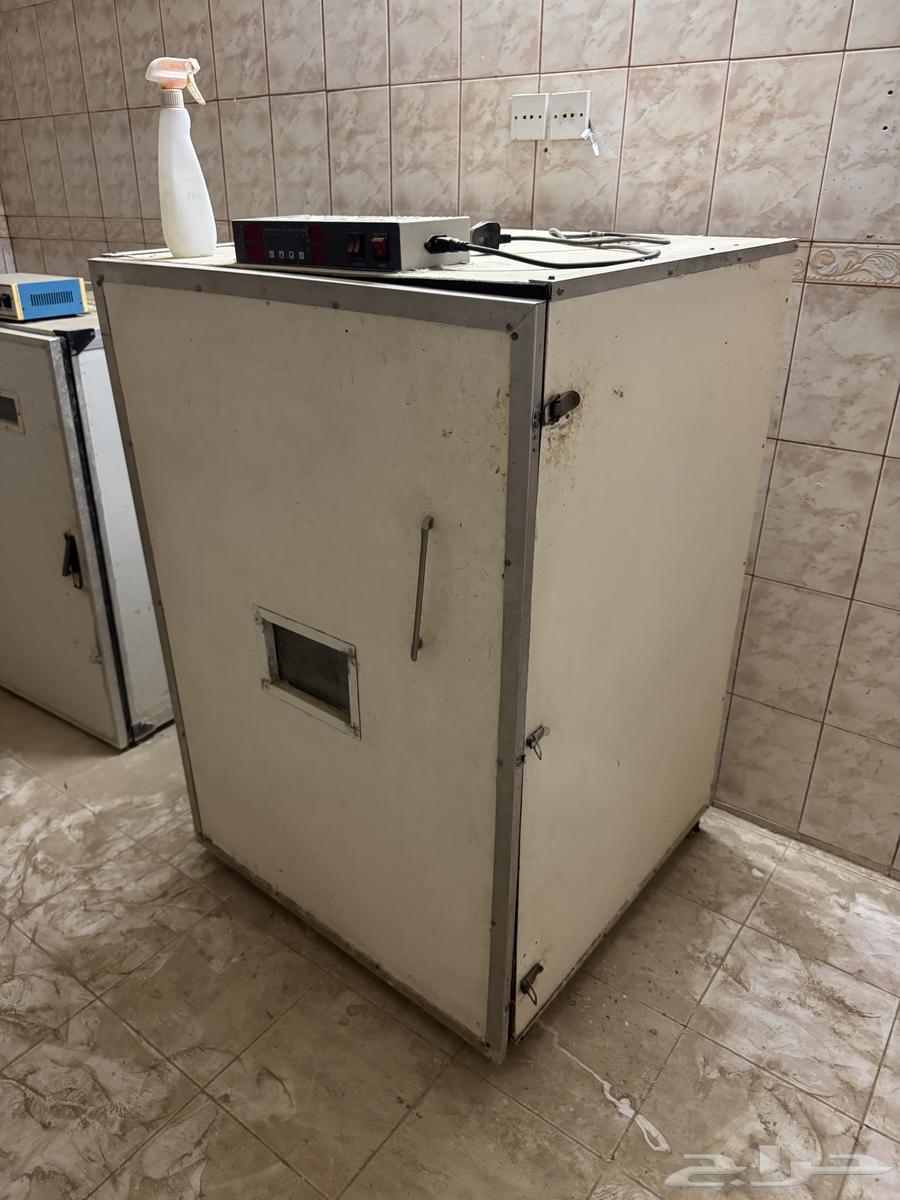 فقاستين للبيع64516225806209110