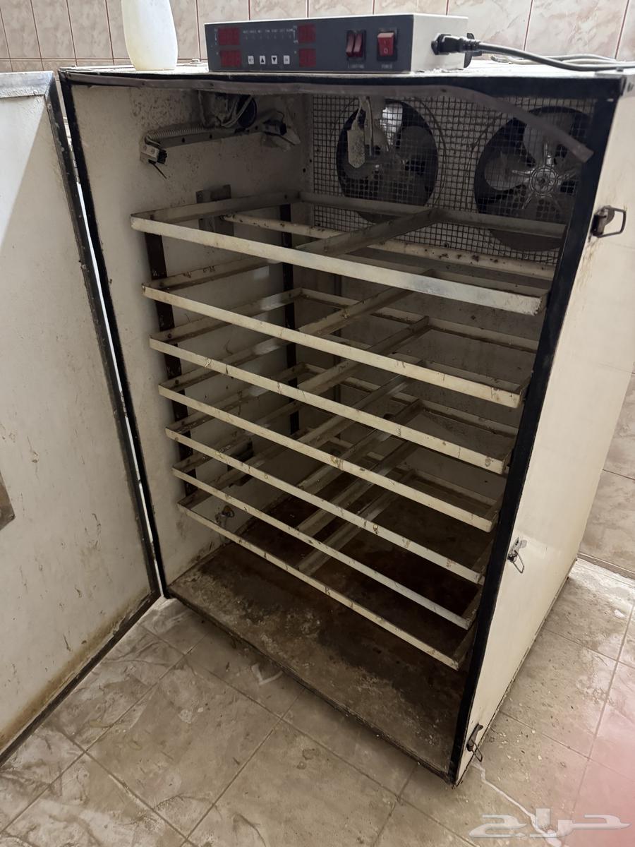 فقاستين للبيع64516225806209111