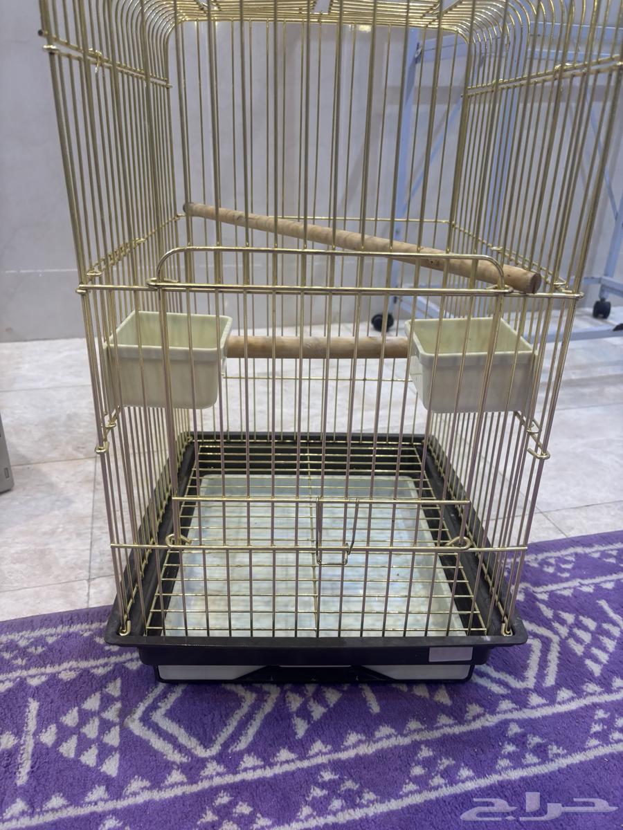 استاند وقفص وبياضه64513543157122112