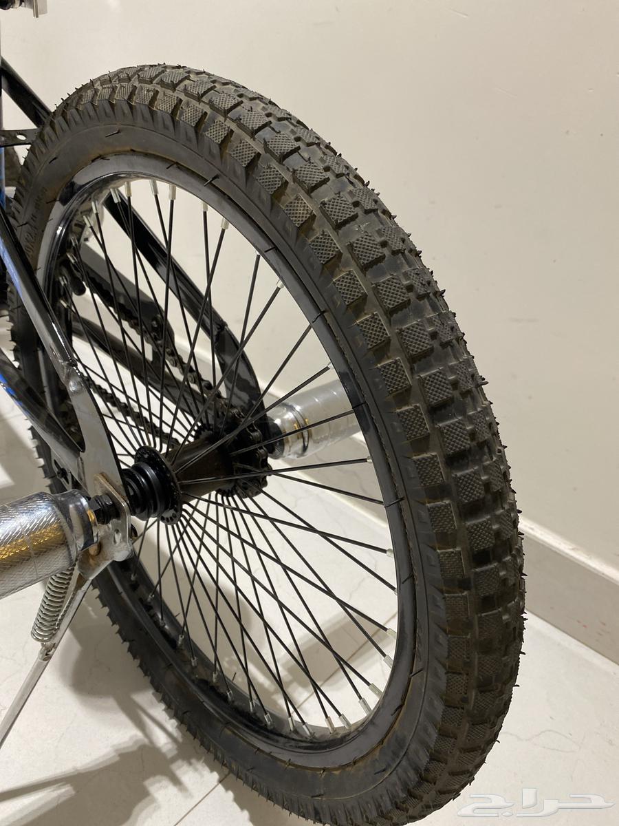 سيكل   نوع   كوبرا   مقاس   20   افضل لون موجود بالسوق جديد64513313505539112
