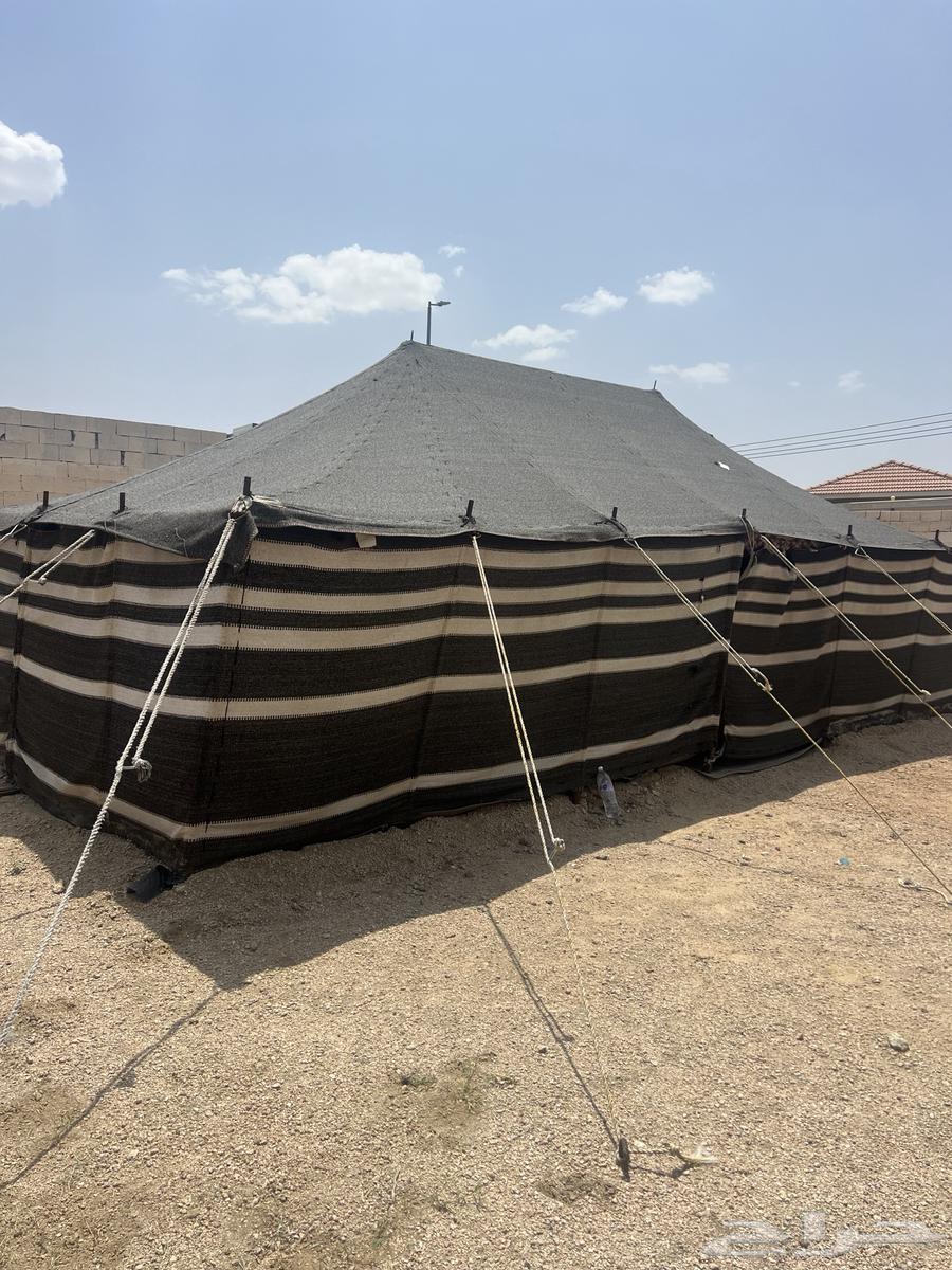 بيوت شعر للبيع64513543164035112