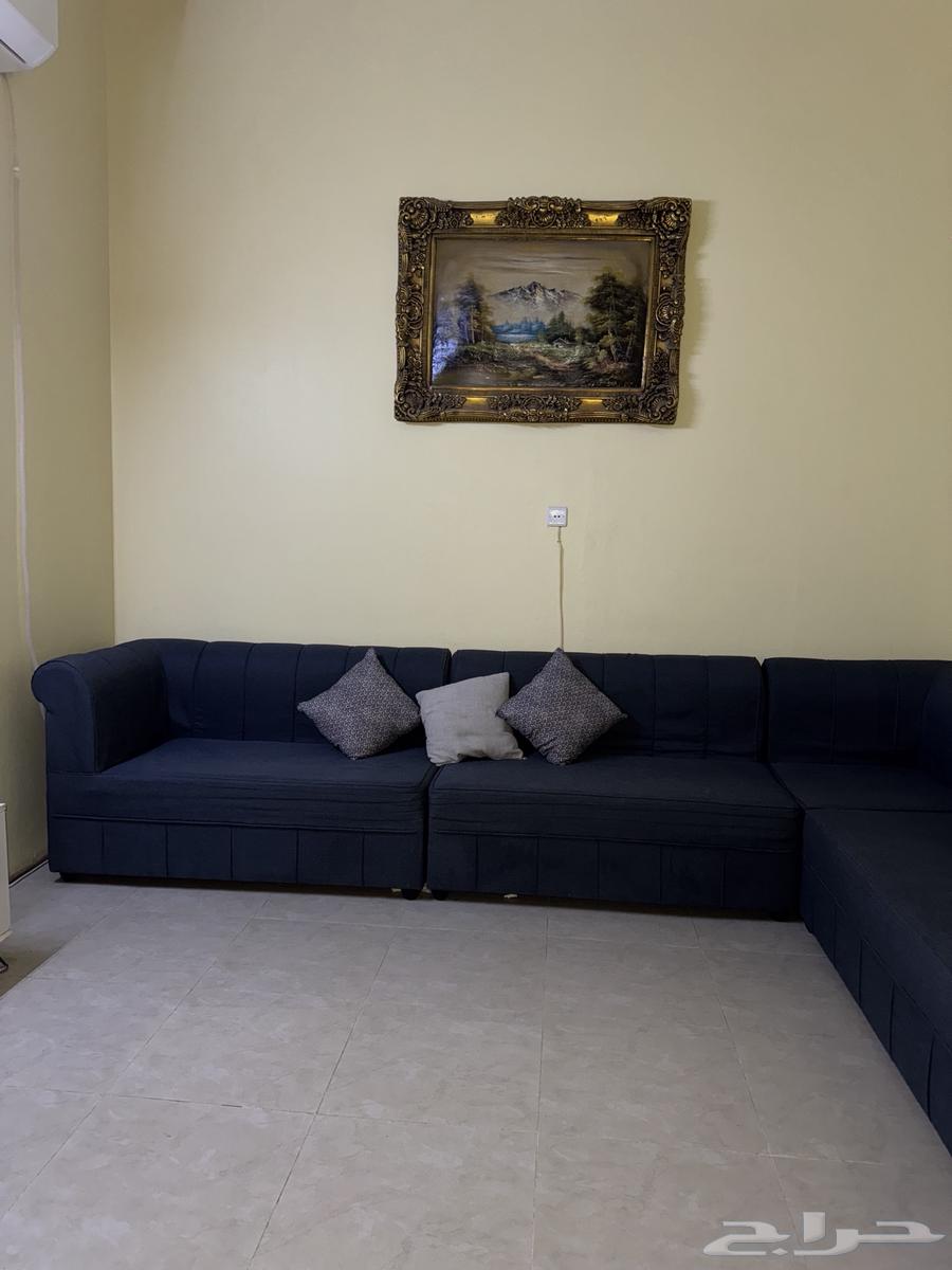 بريده حي الريان لتواصل واتس64512037125123111