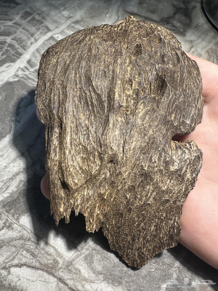 10.9 غرام كسرة عود بورمي طيبة64515136684033112