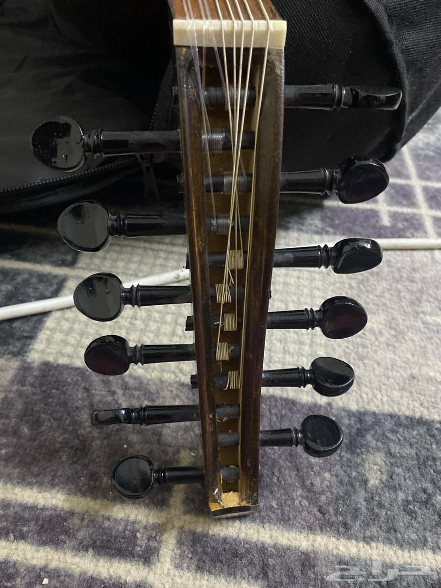 عود للبيع64517392133890111