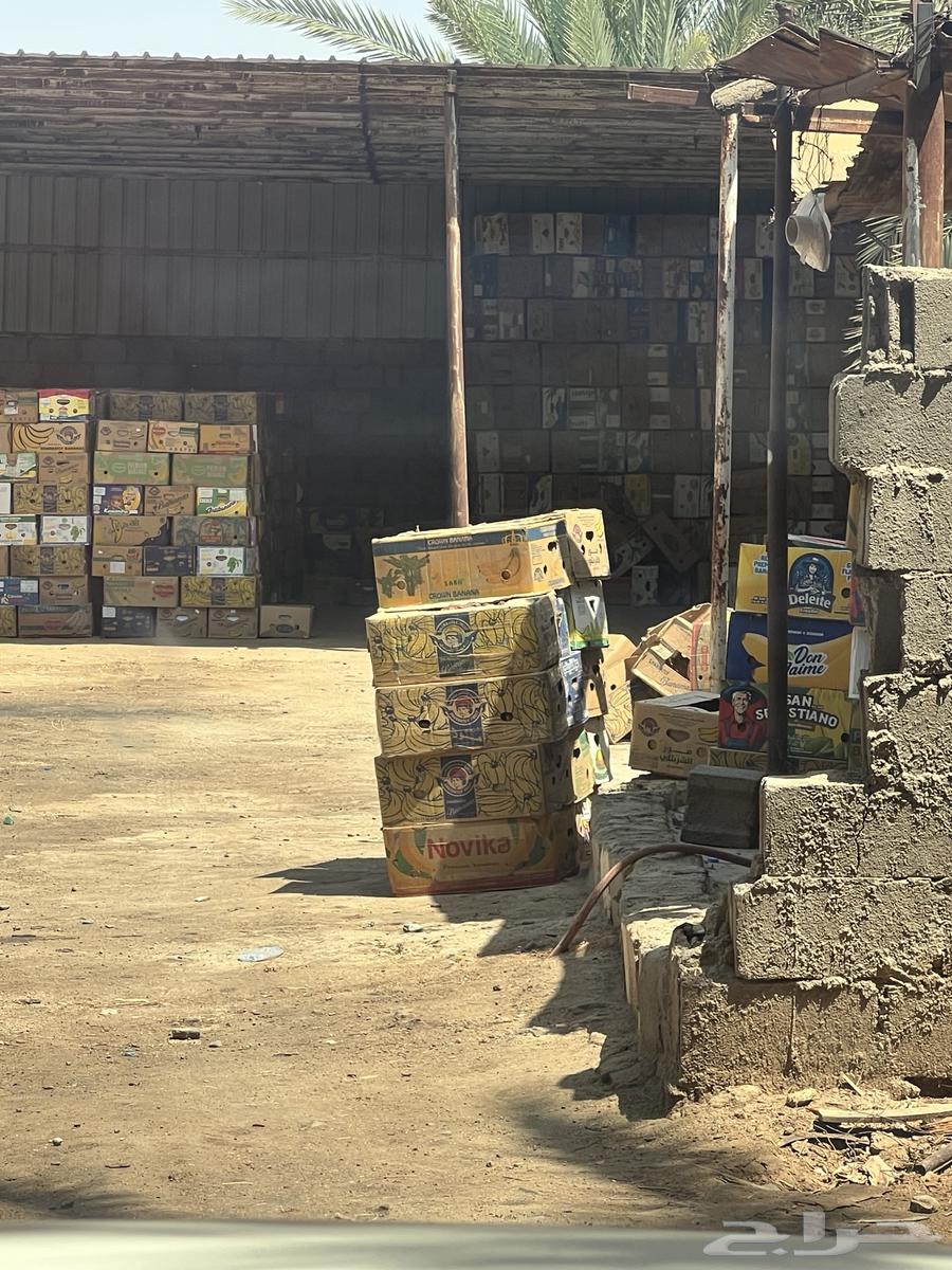 Safri dates, small seed, order for sale64518018476418110