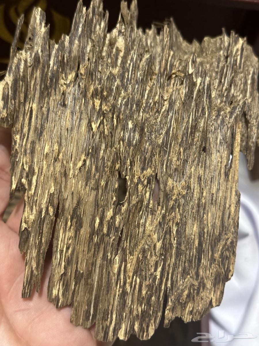 عود فاخر رائحة وثبات( تم البيع )64517477063042113