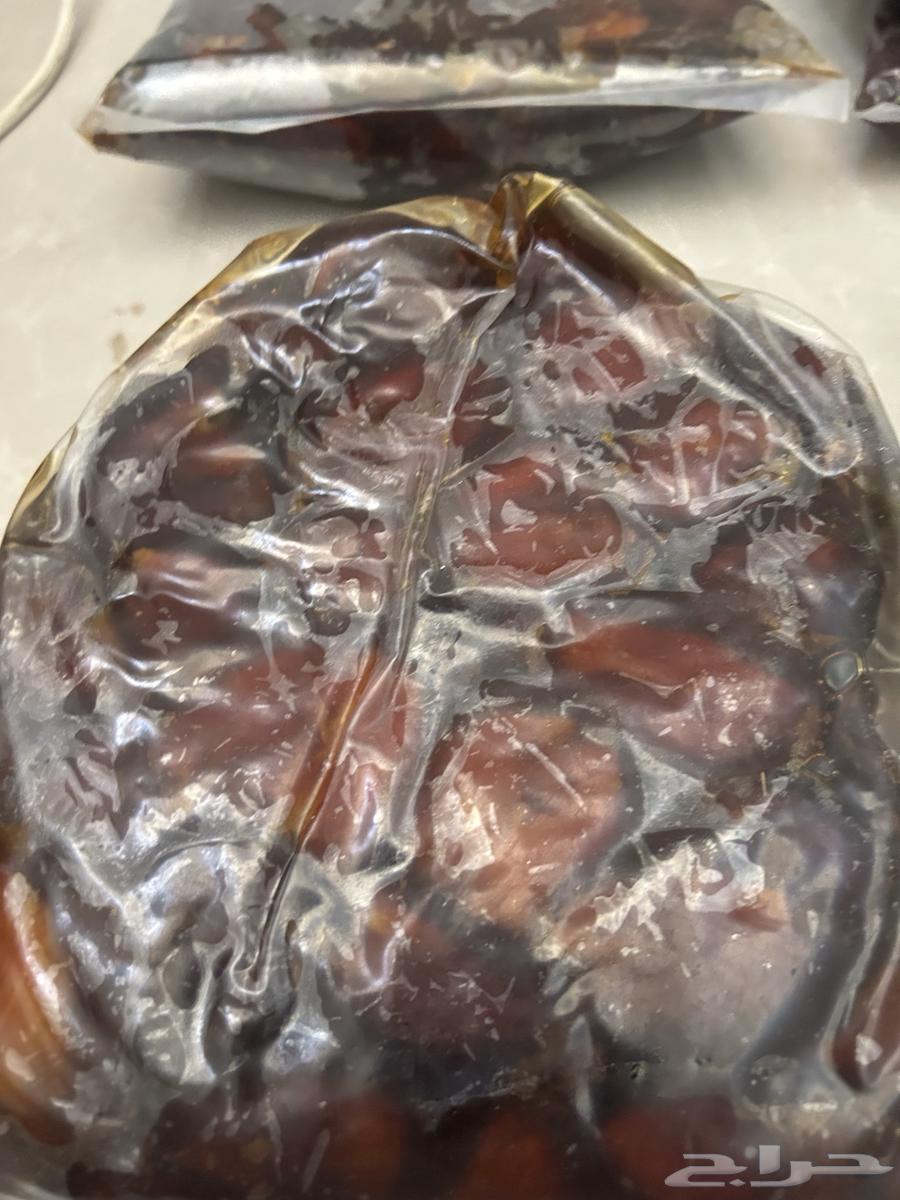 Tamr Fanakha Salmah64513866636930114