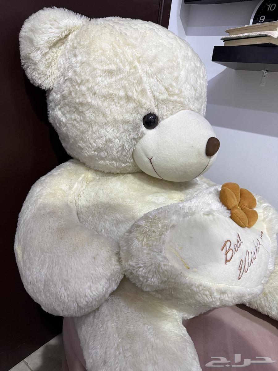 دبدوب64516658336131110