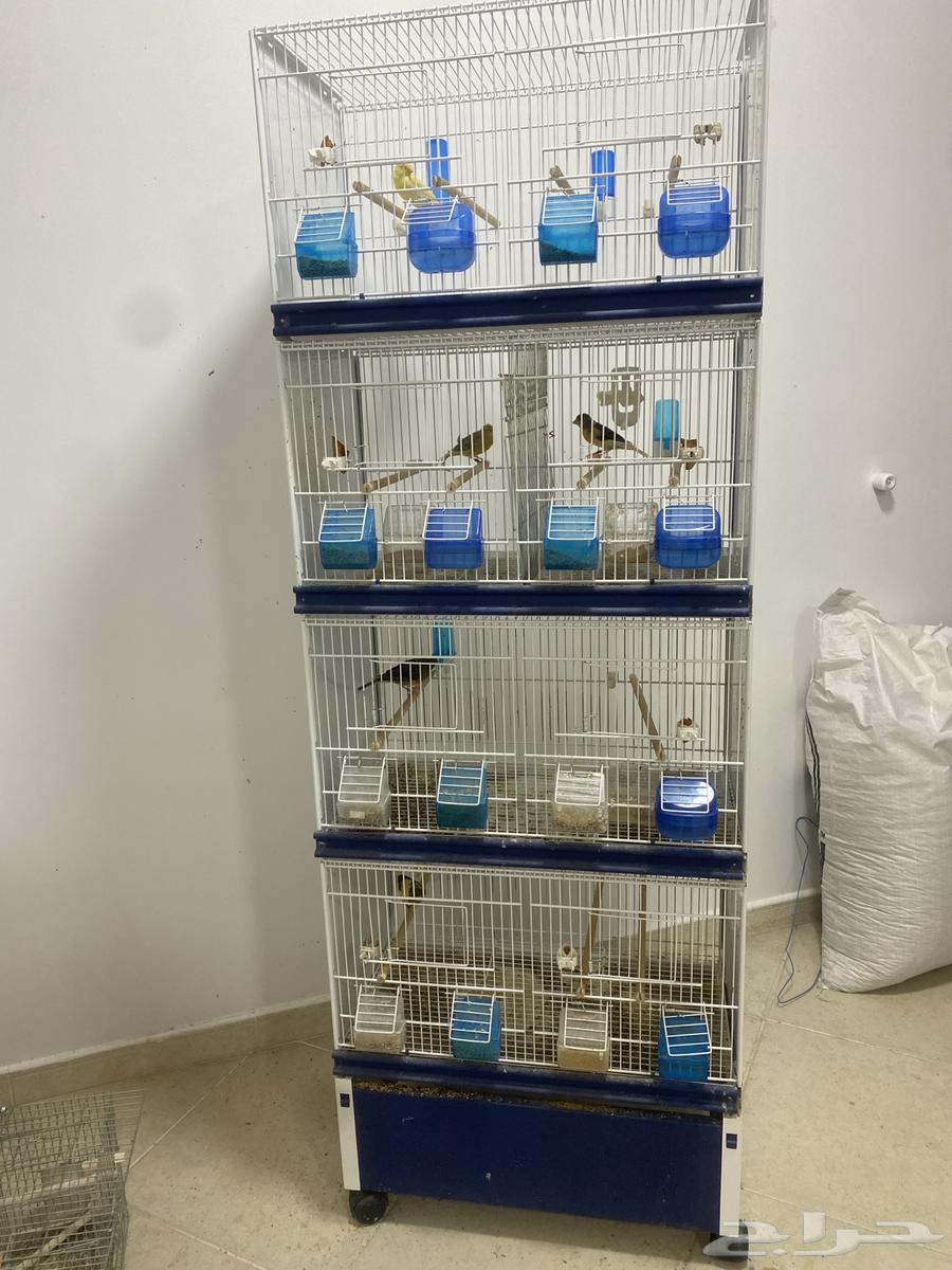 قفص للبيع64514679210115111