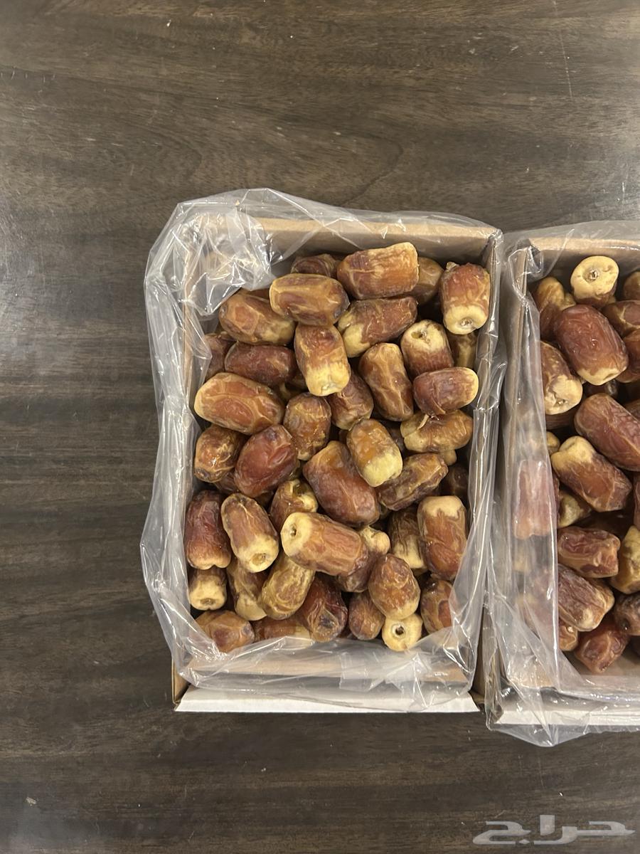 Saqi Dates64517533461762111