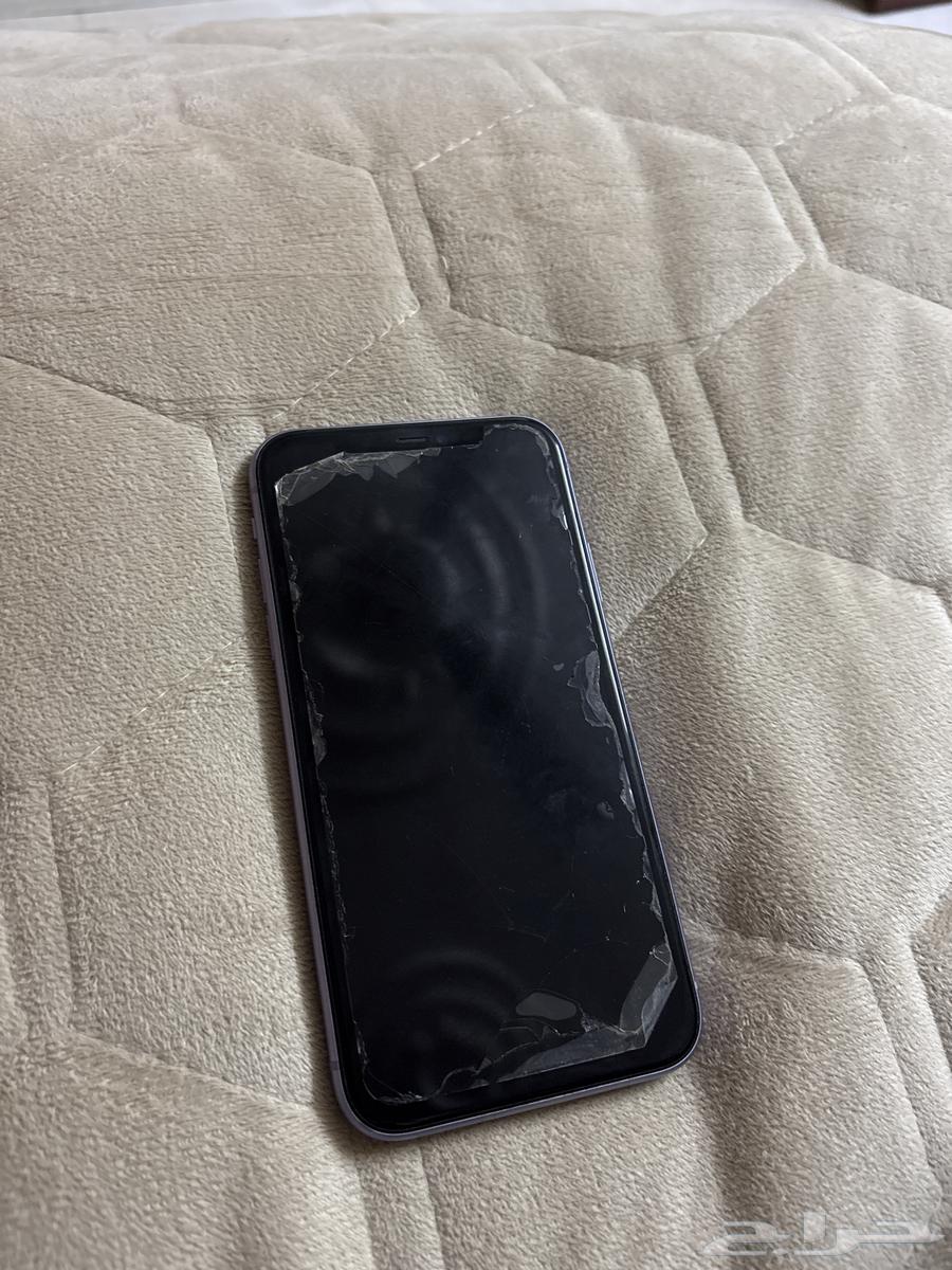 آيفون 11 بنفسي64518067535361110