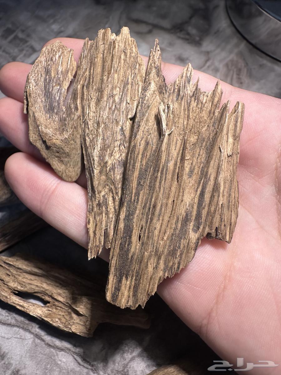 عود ارياني سوبر مرتفع 39.50 غرام64514955522306111