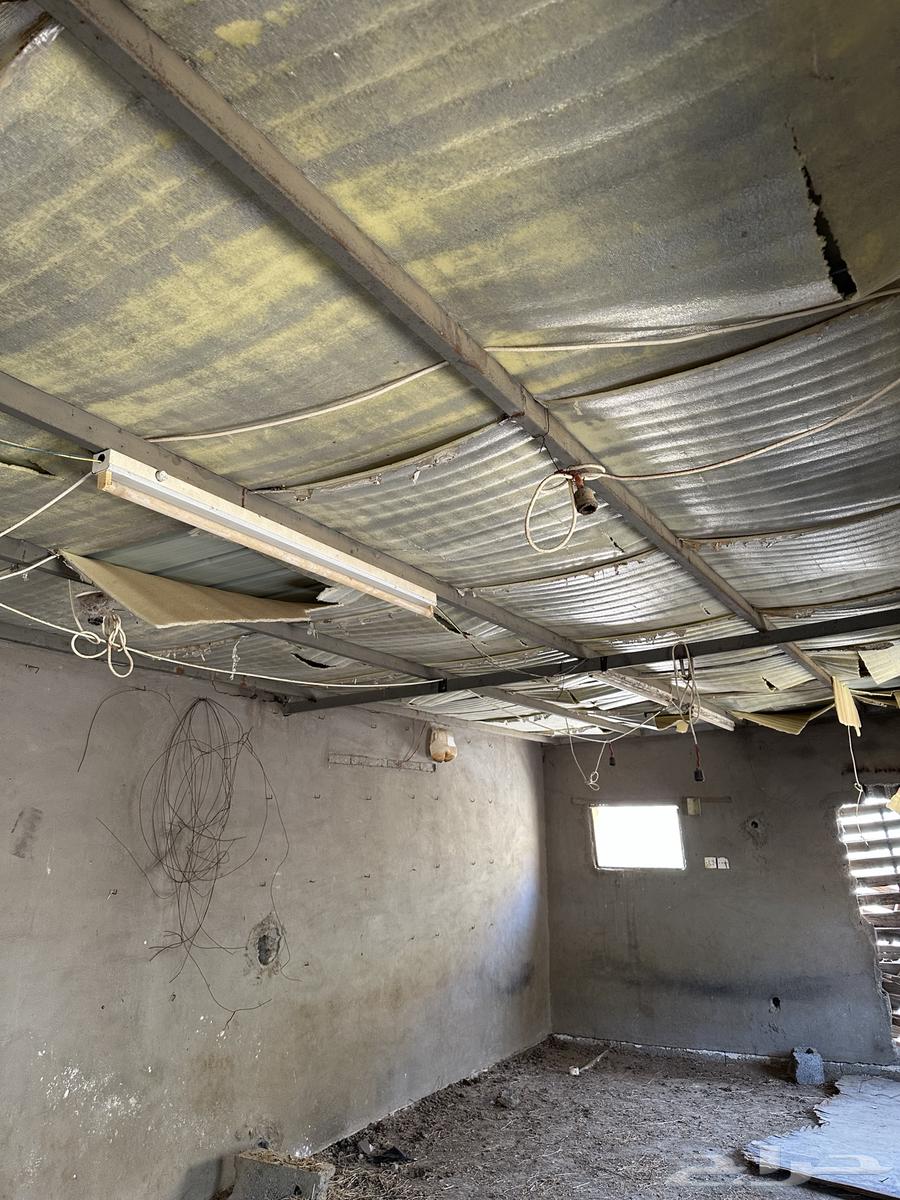 هنقر وتيوبات للبيع64513976459651112