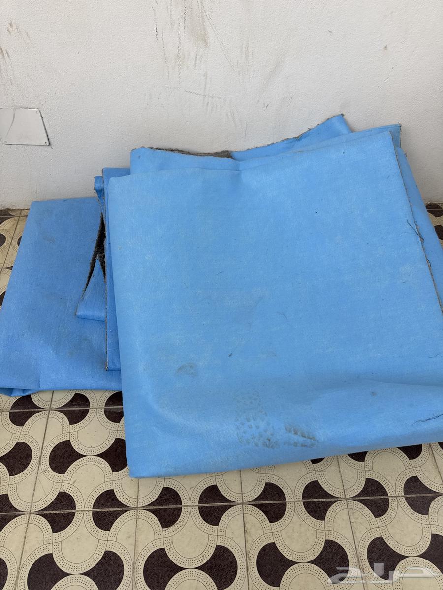 Carpet64515528723843110