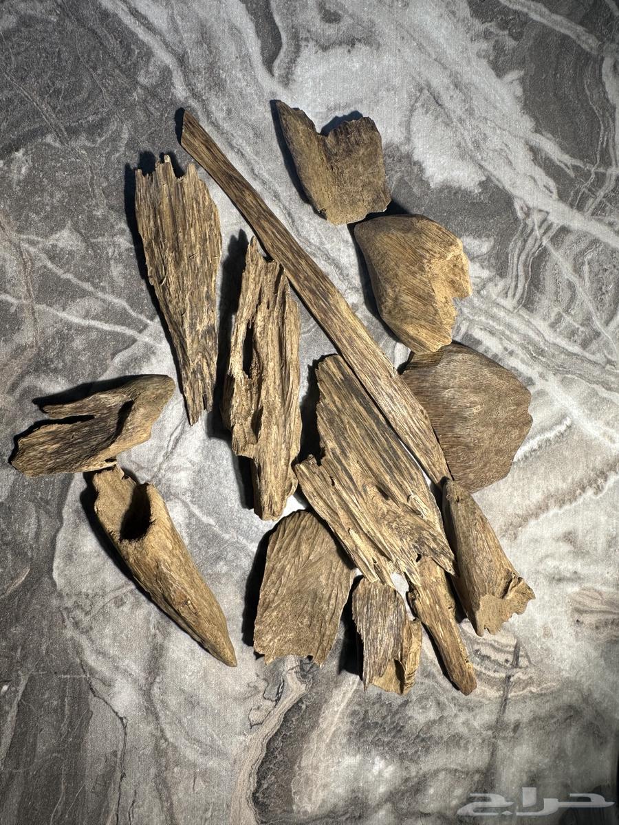 عود ارياني سوبر مرتفع 39.50 غرام64514955522306110