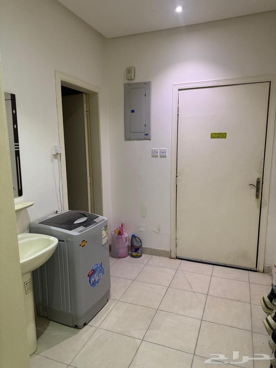 فرش شقه للبيع حى عرقه او تقبيل64518690617603111