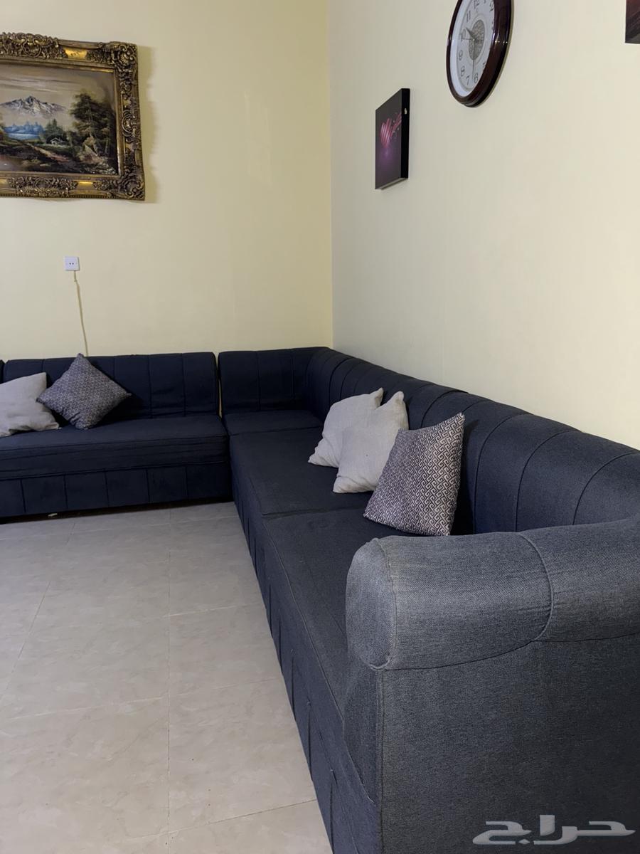 بريده حي الريان لتواصل واتس64512037125123110