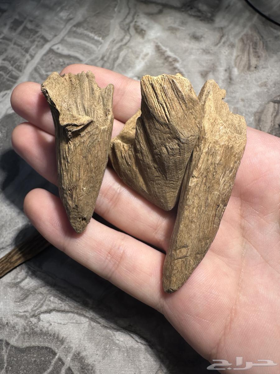 عود ارياني سوبر مرتفع 39.50 غرام64514955522306113