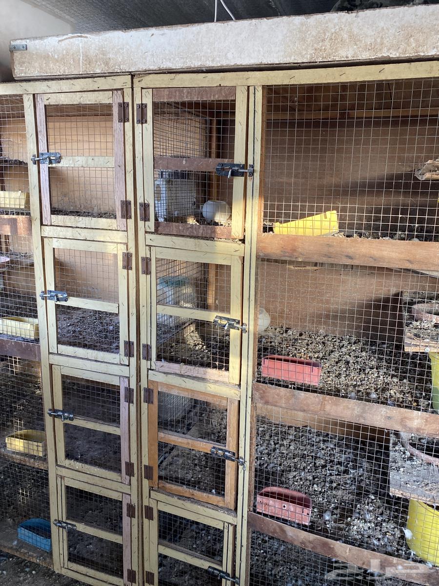 خانه طيور حمام مستعمل تقريبا سنتين64515500837379110