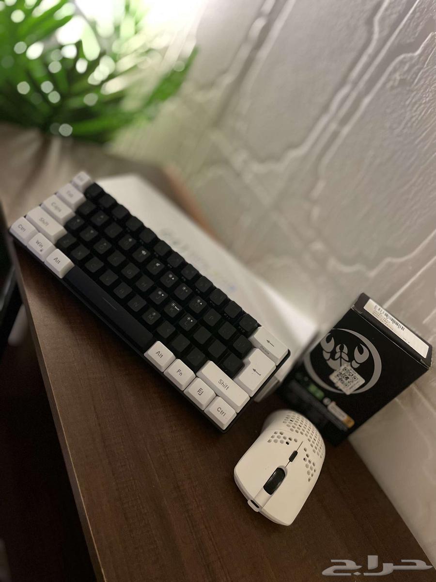 كيبورد و ماوس و مكسر ل البيع لا يجي غير الصامل64517377266689113
