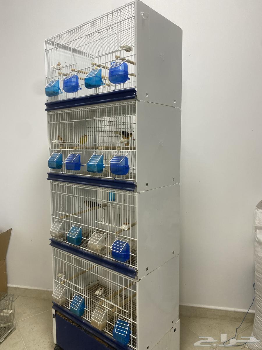 قفص للبيع64514679210115110