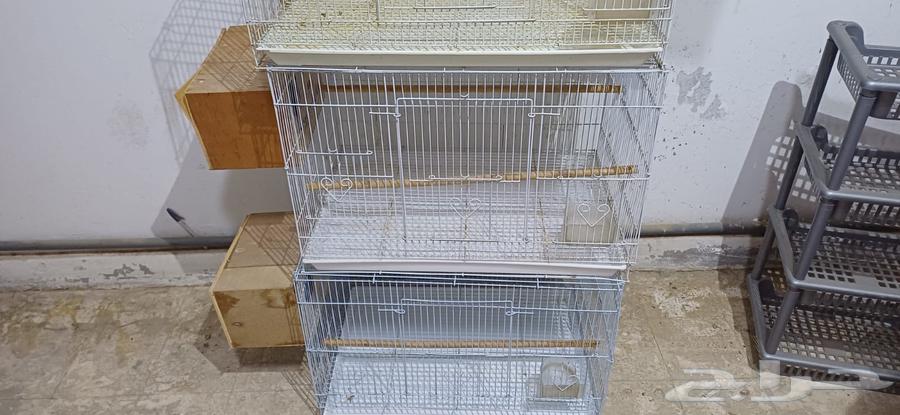 البيع قفص روز 60164515025409537110