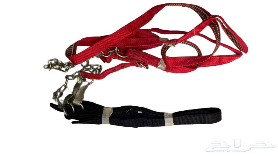 رسن خيل عرض 50 با الميه64515850086659110