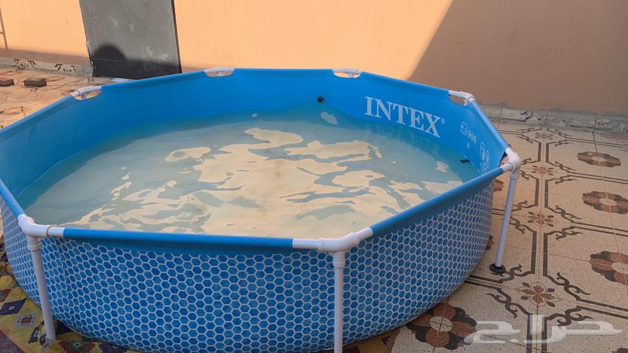 Swimming pool64515961716355111