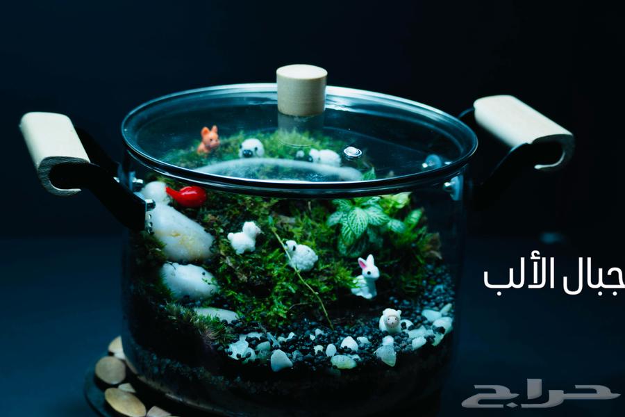 حوض تيراريوم قطعة ديكور مميزة للمطبخ و اضافة لمسه طبيعية64516687936387110