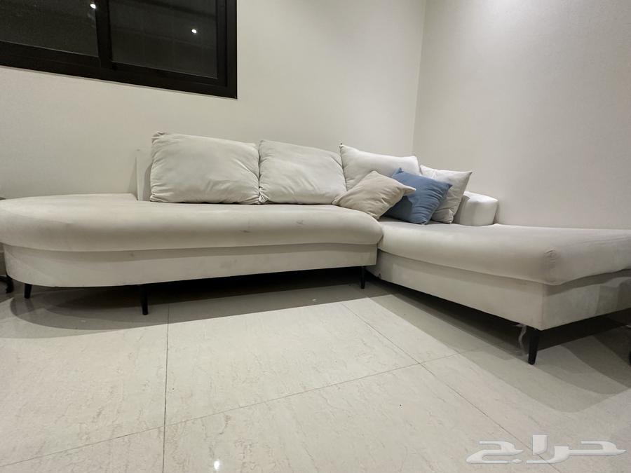 Carpets, sofas, and bed64517903118210111