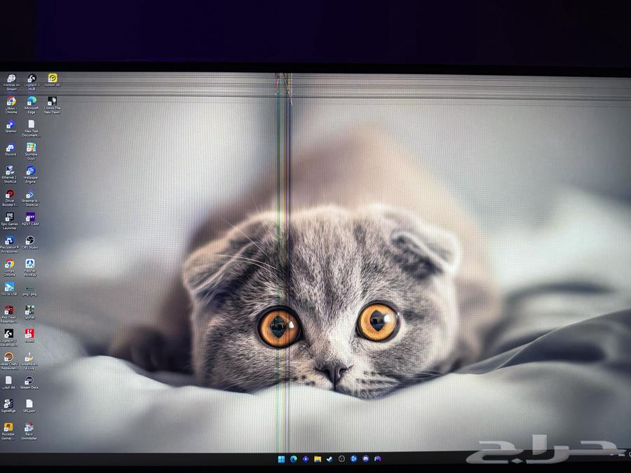 Broken LG 2K screen64516964313090111