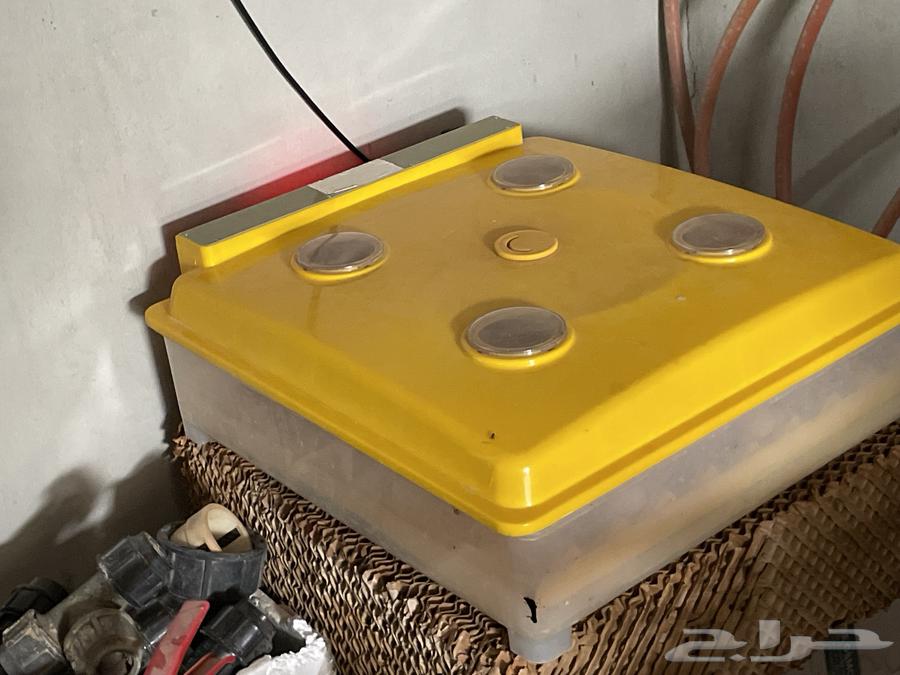 فقاسه مستعملة للبيع64518394985985110