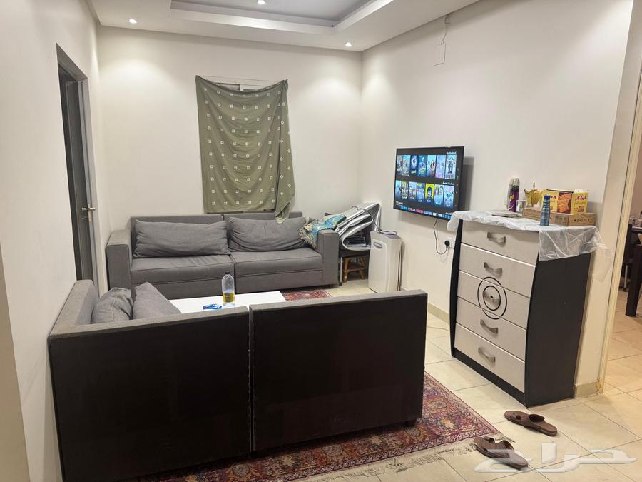 فرش شقه للبيع حى عرقه او تقبيل64518690617603110