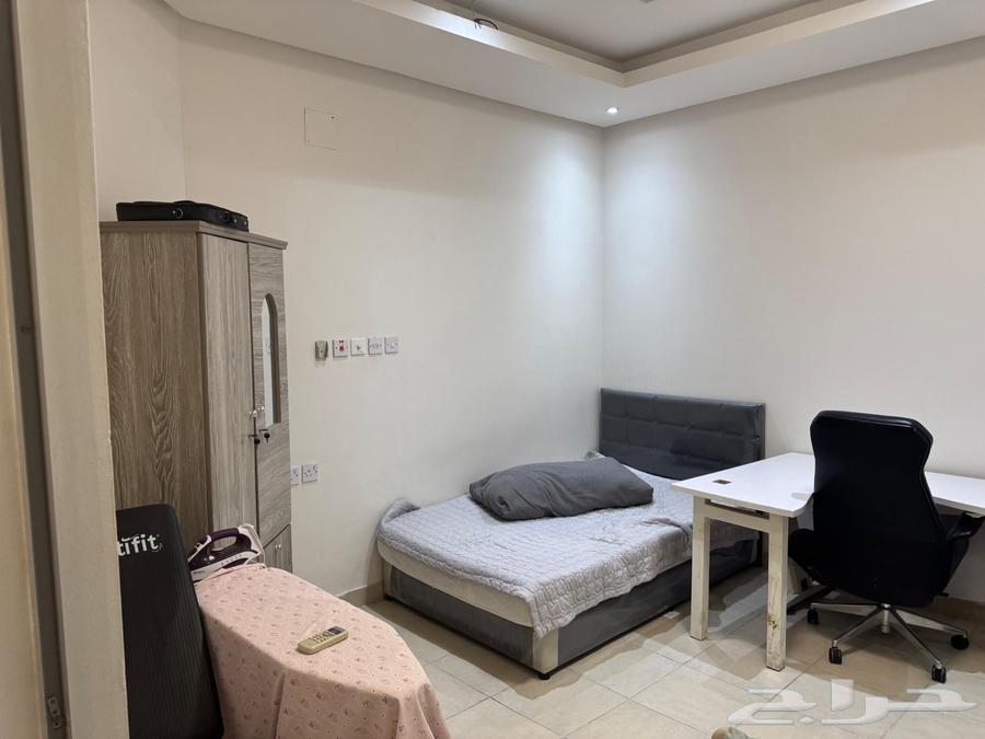 فرش شقه للبيع حى عرقه او تقبيل64518690617603112