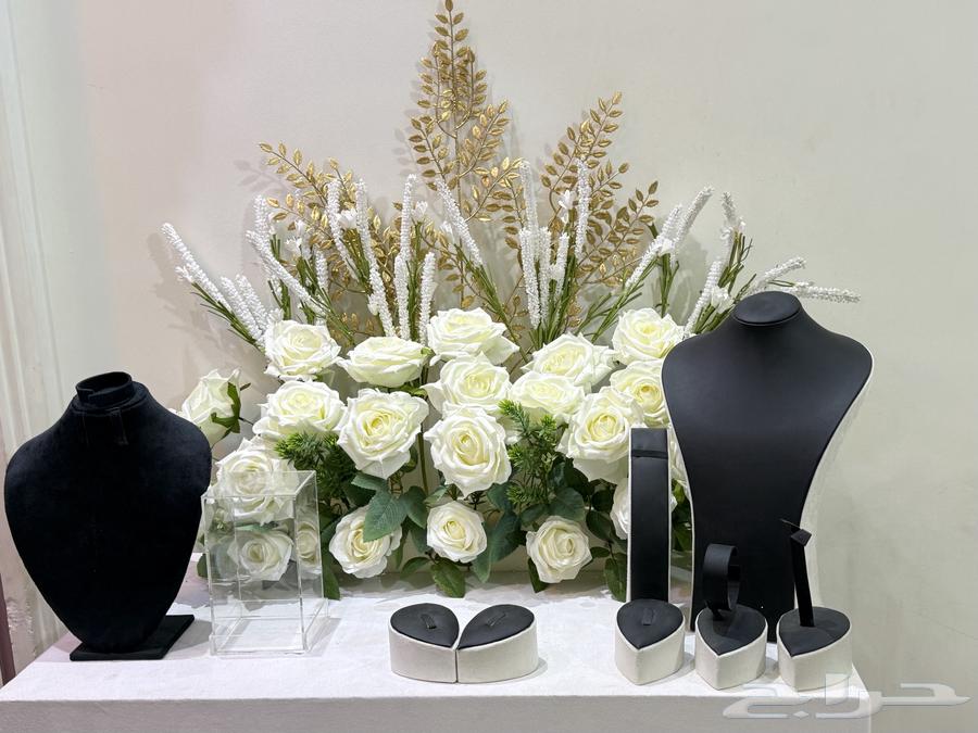 Network Stand64515388925057111