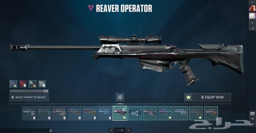 Valorant Account64515919562498110