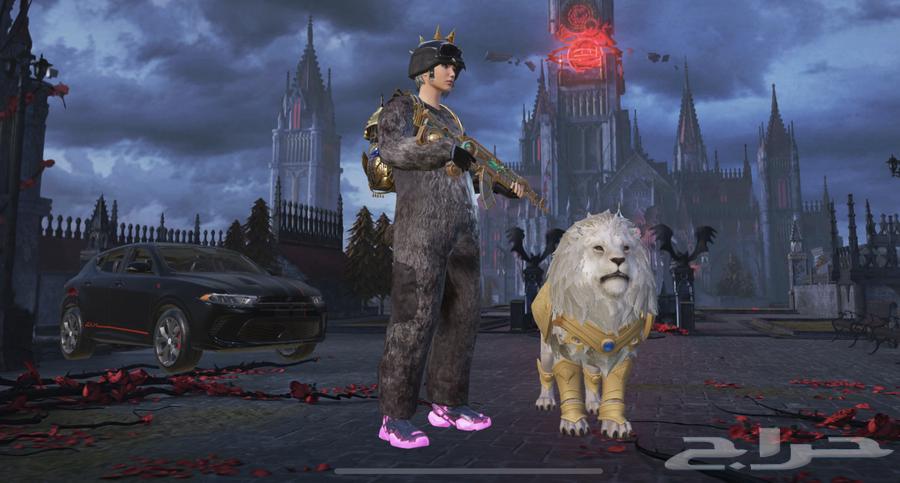 PUBG account for sale, quick sale and hand-to-hand delivery, if you're interested, welcome64514789533185112