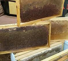 براويز شمع نحل64513728503682111