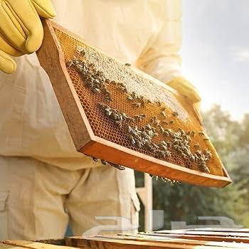 براويز شمع نحل64513728503682110