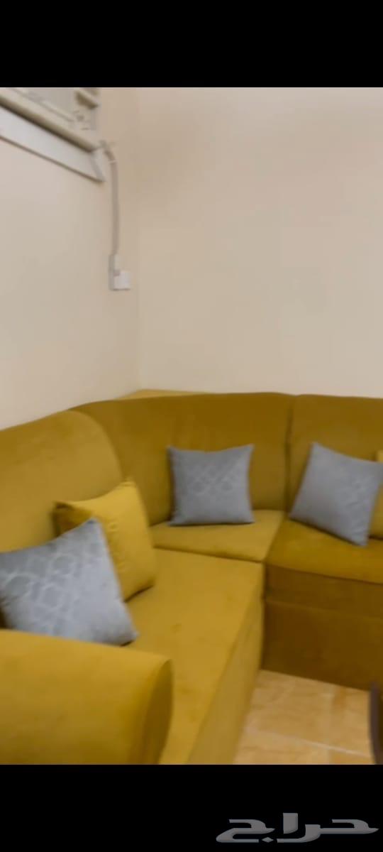 Clean sofa, asking price reached 85064515444848003112