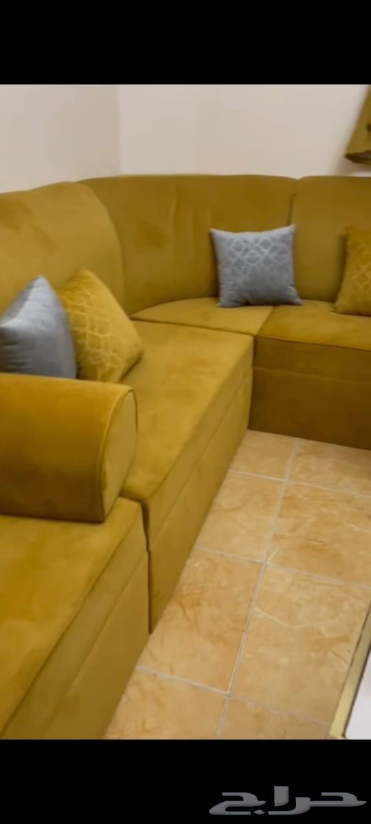 Clean sofa, asking price reached 85064515444848003110